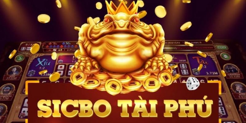Cược Xóc Đĩa: Kinh Nghiệm và Chiến Lược Thắng Lợi 14 Tránh cược bộ ba số giống nhau khi chơi tựa game này